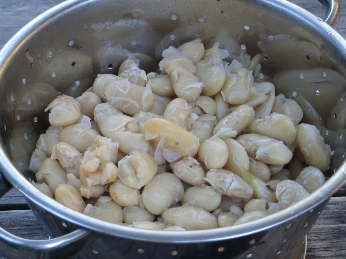 beans in colander