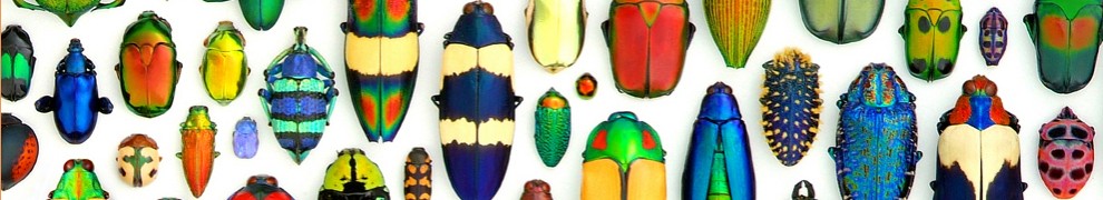 beetles crop